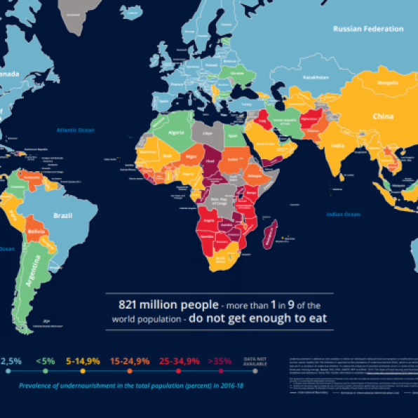 World Hunger Map 2019 (source: World Food Program)